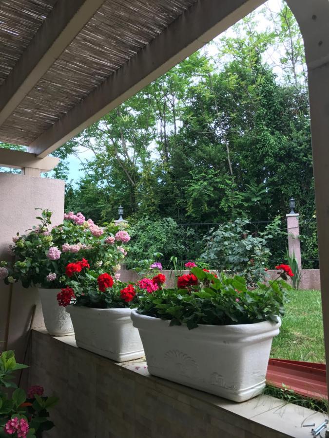 Villa Alla Bed And Breakfast Herceg Novi Exterior photo